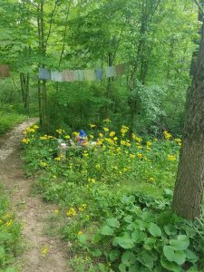 Hotei among the wildflowers