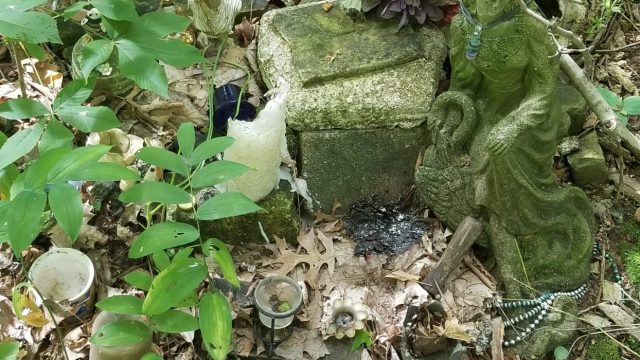 forest shrine