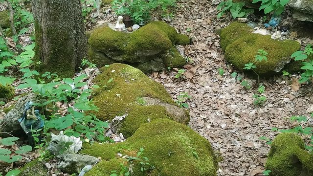 undergrowth shrine