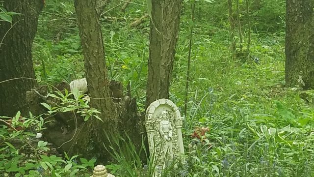 Shrine in the undergrowth
