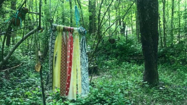 Colorful hangings in the woods
