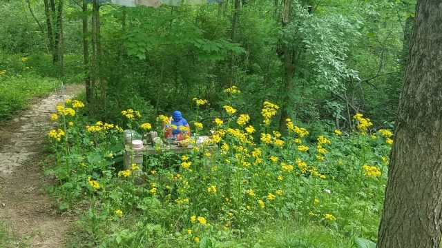 Hotei among the wildflowers